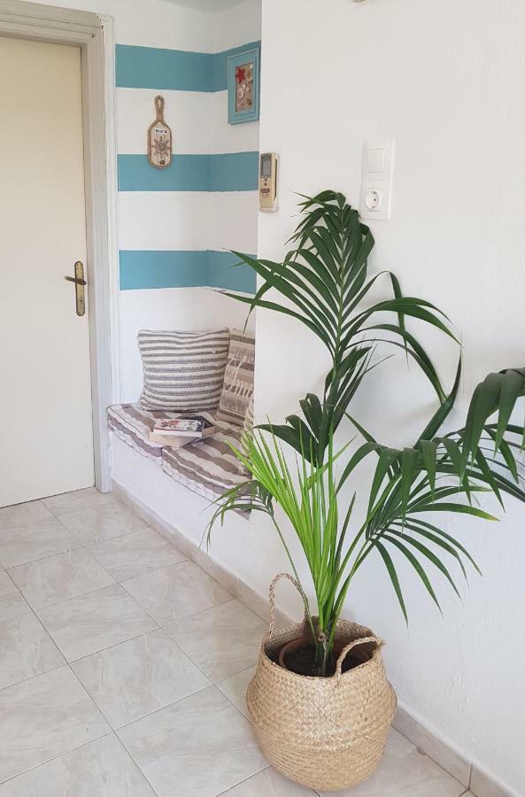 Mesogitonia House Apartment Káto Zákros Екстериор снимка